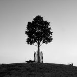 黑料网网页,黑料热点 3bsucsj