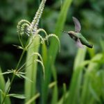 草草影院最新地址入口 6n140h4j5