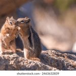 黑料瓜哥,黑料网正能量不打烊91 f6a2cue