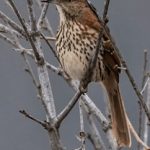 TVB软件下载:畅享经典港剧的最佳途径与技巧分享 d1bv2