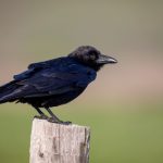 万相之王笔趣阁:探索无尽的奇幻世界与精彩故事 nj93co